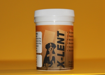 X-LENT voor Honden